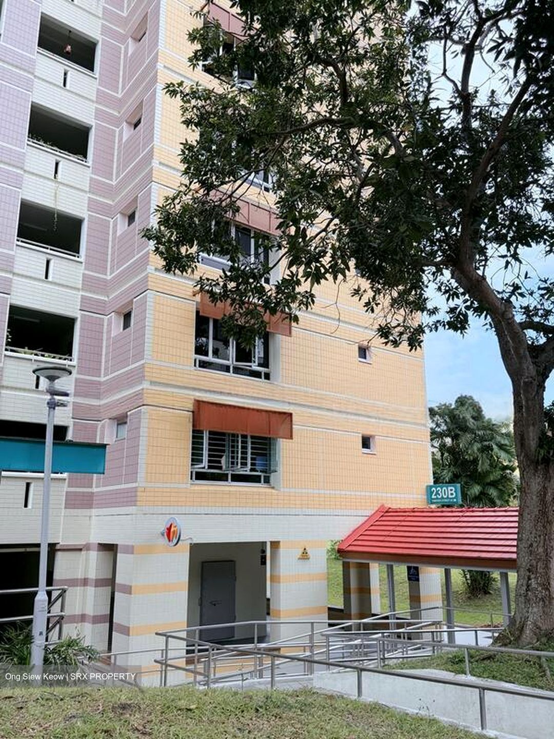 Blk 230B Tampines Street 24 (Tampines), HDB 4 Rooms #503898381
